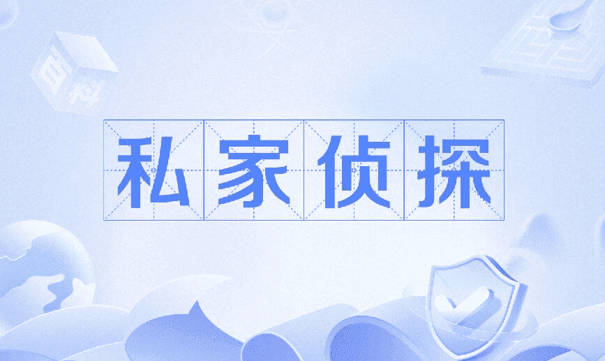 私家侦探调查展示图